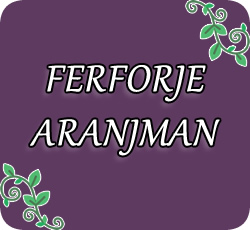 Ferforje Aranjman